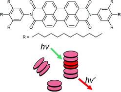 Graphical abstract: One-dimensional luminescent nanoaggregates of perylene bisimides