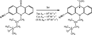 Graphical abstract: Primary steps of the photochemical reactions of 2-cyano-10-(3-[dimethylamino, N-oxide]-2-methylpropyl)-5-oxide-phenothiazine, the photoproduct of cyamemazine, a phototoxic neuroleptic: comparison with the sulfoxide