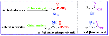 Graphical abstract: Catalytic asymmetric synthesis of α- and β-amino phosphonic acid derivatives