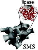 Graphical abstract: Immobilization of lipase on silicas. Relevance of textural and interfacial properties on activity and selectivity