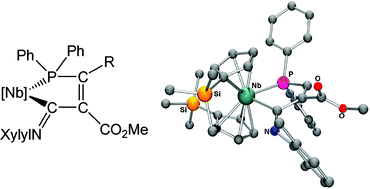 Graphical abstract: Activation of a CNXylyl ancillary ligand in the reaction of electron-deficient alkynes with a phosphido niobocene complex