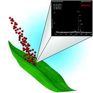 Graphical abstract: Desorption electrospray ionization with a portable mass spectrometer: in situ analysis of ambient surfaces