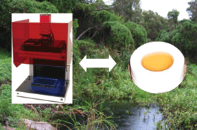 Graphical abstract: Passive sampling of herbicides combined with effect analysis in algae using a novel high-throughput phytotoxicity assay (Maxi-Imaging-PAM)