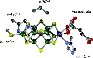 Graphical abstract: Breaking the N2 triple bond: insights into the nitrogenase mechanism