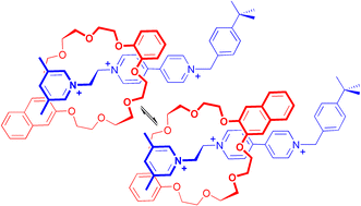 Graphical abstract: A mechanical “flip-switch”. Interconversion between co-conformations of a [2]rotaxane with a single recognition site