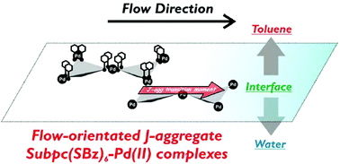 Graphical abstract: Two-phase Couette flow linear dichroism measurement of the shear-forced orientation of a palladium(ii)-induced aggregate of thioether-derivatised subphthalocyanines at the toluene/glycerol interface