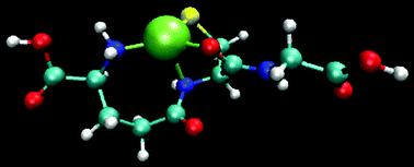 Graphical abstract: Toward a DFT-based molecular dynamics description of Co(ii) binding in sulfur-rich peptides