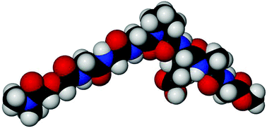 Graphical abstract: Chloride ion efflux from liposomes is controlled by sidechains in a channel-forming heptapeptide