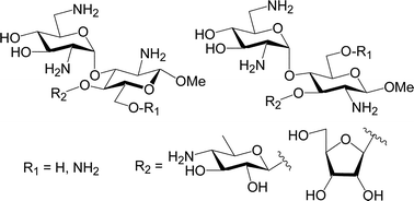 Graphical abstract: Trisaccharide mimetics of the aminoglycoside antibiotic neomycin