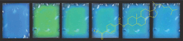 Graphical abstract: Functional liquid crystal films selectively recognize amine vapours and simultaneously change their colour