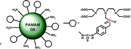 Graphical abstract: Phosphinic derivative of DTPA conjugated to a G5 PAMAM dendrimer: an 17O and 1H relaxation study of its Gd(iii) complex