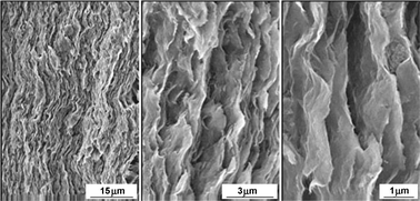 Graphical abstract: Supramolecular structures in nanocomposite multilayered films