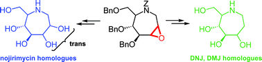 Graphical abstract: Nucleophilic opening of epoxyazepanes: expanding the family of polyhydroxyazepane-based glycosidase inhibitors