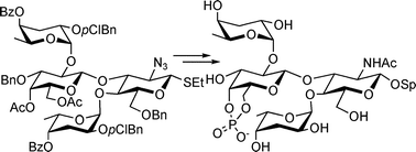 Graphical abstract: Synthesis of oligosaccharides corresponding to Vibrio cholerae O139 polysaccharide structures containing dideoxy sugars and a cyclic phosphate