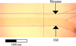 Graphical abstract: The liquid–liquid diffusive extraction of hydrocarbons from a North Sea oil using a microfluidic format