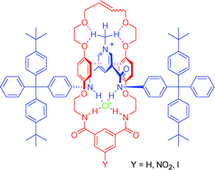 Graphical abstract: Anion-templated assembly of [2]rotaxanes