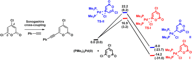 Graphical abstract: Regioselectivity in the Sonogashira coupling of 4,6-dichloro-2-pyrone
