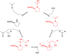 Graphical abstract: ESI-MS study on the aldol reaction catalyzed by l-proline