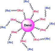 Graphical abstract: Metallodendrimers containing both ruthenium (internal layer) and rhenium (external layer)