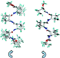 Graphical abstract: Oligomers of cis-β-norbornene amino acid: Formation of β-strand mimetics