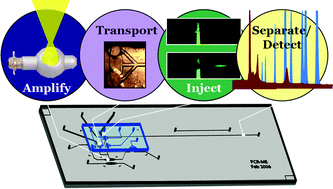 Graphical abstract: On-chip pressure injection for integration of infrared-mediated DNA amplification with electrophoretic separation