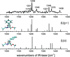 Graphical abstract: Structure of a β-sheet model system in the gas phase: Analysis of the fingerprint region up to 10 μm