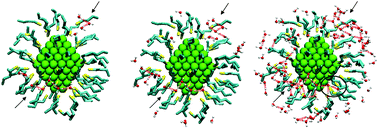 Graphical abstract: Hydrogen bond structure and vibrational spectrum of water at a passivated metal nanoparticle