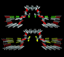 Graphical abstract: Isomorphic supramolecular structures via one-dimensional hydrogen bonding motifs in crystals of chiral difluorolactates, trichlorolactates and trifluorolactates