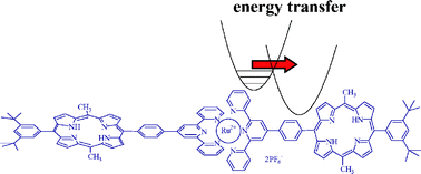 Graphical abstract: Intramolecular energy-transfer processes in a bis(porphyrin)-ruthenium(ii) bis(2,2′:6′,2″-terpyridine) molecular array