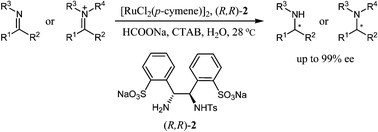 Graphical abstract: Asymmetric transfer hydrogenation of imines and iminiums catalyzed by a water-soluble catalyst in water