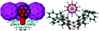 Graphical abstract: Endo- versus exo-cavity interplay of p-benzylcalix[4]arene with spheroidal molecules