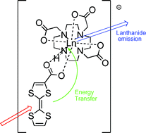 Graphical abstract: Self-assembly of luminescent ternary complexes between seven-coordinate lanthanide(iii) complexes and chromophore bearing carboxylates and phosphonates