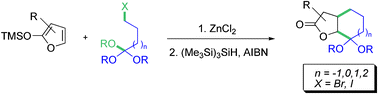 Graphical abstract: Stereoselective synthesis of bicyclic lactones by annelation with functionalised orthoesters