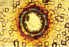 Graphical abstract: Hydrodynamic sputtering as a possible source for fractionation in LA-ICP-MS