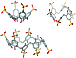 Graphical abstract: Biochemistry of the para-sulfonato-calix[n]arenes