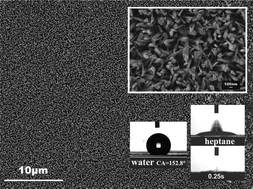 Graphical abstract: Fabrication of super-hydrophobic and super-oleophilic boehmite membranes from anodic alumina oxide film via a two-phase thermal approach