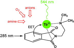 Graphical abstract: A molecular tool kit for the variable design of logic operations (NOR, INH, EnNOR)