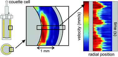 Graphical abstract: Rheo-NMR phenomena of wormlike micelles