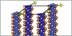 Graphical abstract: On the physical nature of mesophases of guanosine gels