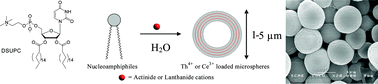 Graphical abstract: Self-assembled microspheres from f-block elements and nucleoamphiphiles