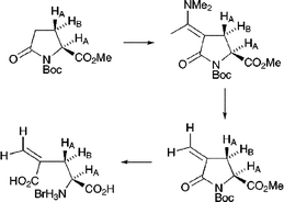 Graphical abstract: Synthesis of (2S,3S)-[3-2H1]-4-methyleneglutamic acid and (2S,3R)-[2,3-2H2]-4-methyleneglutamic acid