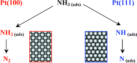 Graphical abstract: Electrocatalytic oxidation of ammonia on Pt(111) and Pt(100) surfaces