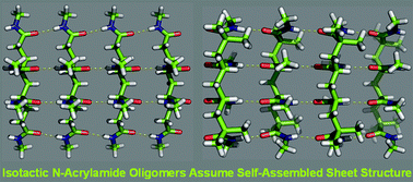 Graphical abstract: Isotactic N-alkyl acrylamide oligomers assume self-assembled sheet structure: first unequivocal evidence from crystal structures