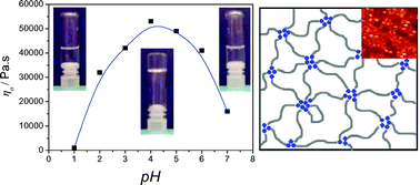 Graphical abstract: pH-Tunable rheological properties of a telechelic cationic polyelectrolyte reversible hydrogel