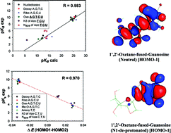 Graphical abstract: The chemical nature of the 2′-substituent in the pentose-sugar dictates the pseudoaromatic character of the nucleobase (pKa) in DNA/RNA