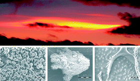 Graphical abstract: The crystallization kinetics and morphology of nitric acid trihydrate