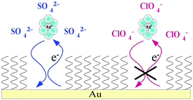 Graphical abstract: Sieving behaviour of nanoscopic pores by hydrated ions