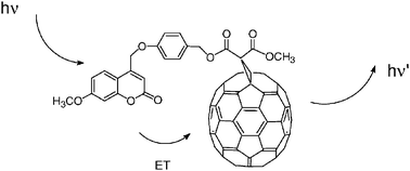 Graphical abstract: Synthesis and fluorescence properties of [60] and [70]fullerene–coumarin dyads: Efficient dipole–dipole resonance energy transfer from coumarin to fullerene