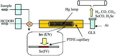 Graphical abstract: On-line photoassisted vapour generation implemented in an automated flow-injection/stopped-flow manifold coupled to an atomic detector for determination of selenium