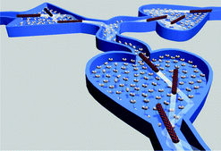 Graphical abstract: Simulating molecular shuttle movements: Towards computer-aided design of nanoscale transport systems